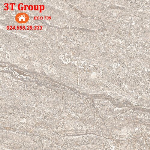 Gạch 60×60 granite viglacera ECO 624