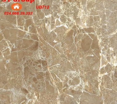 Gạch lát 60×60 viglacera granite ECO UB712