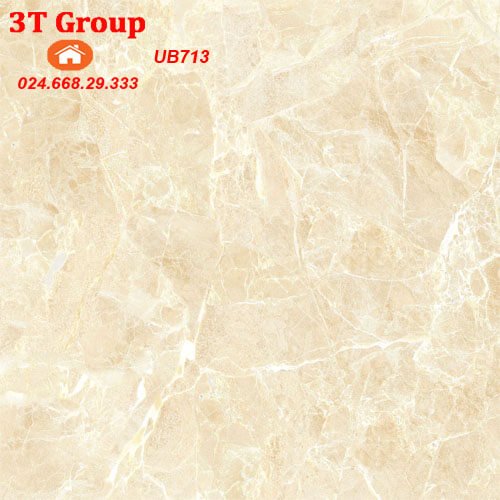 Gạch lát nền 60×60 viglacera granite UB713