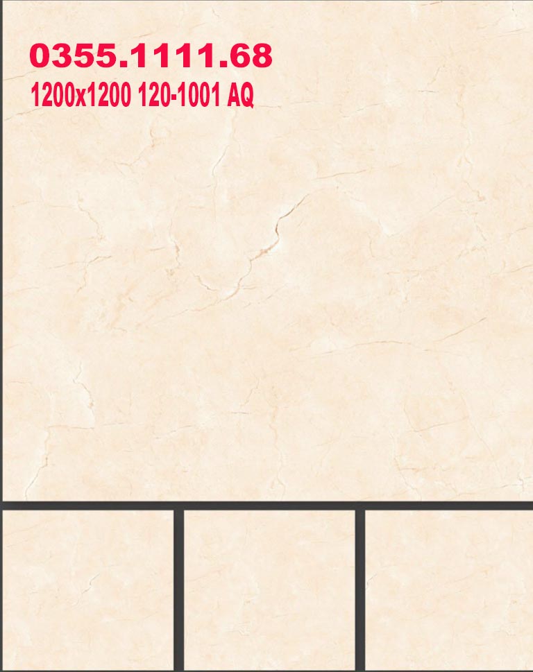 Gạch 1200×1200 Ấn Độ 120-1001